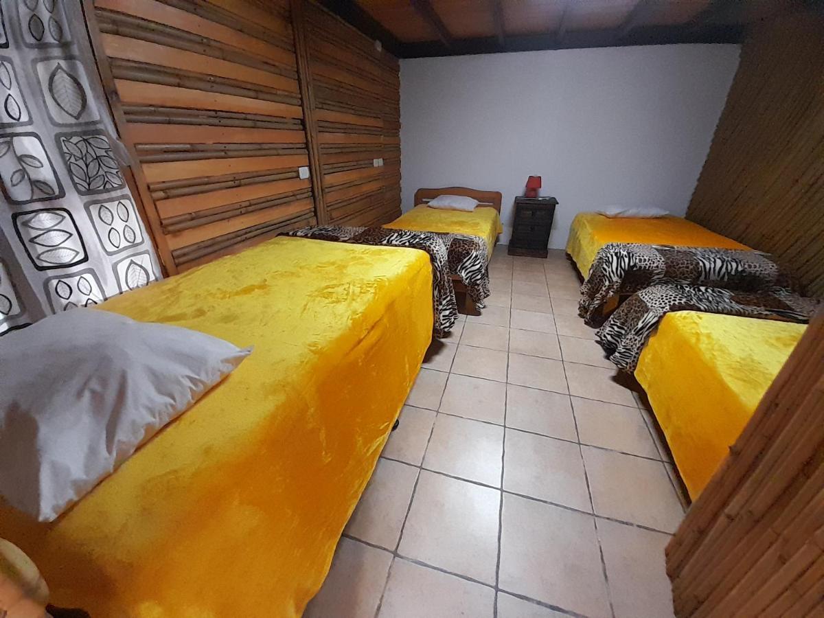 Hostal Casa Buho Antigua Dış mekan fotoğraf