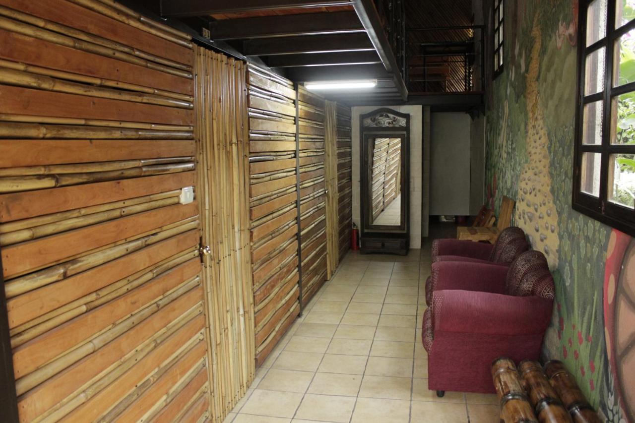 Hostal Casa Buho Antigua Dış mekan fotoğraf